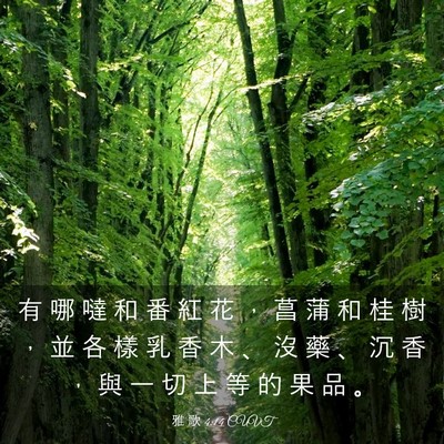 Picture 03 - 雅 歌 4:14 CUVT - 有 哪 噠 和 番 紅 花 ， 菖 蒲 和 桂 - Bible Verse Picture