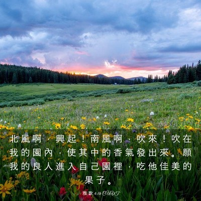 Picture 03 - 雅 歌 4:16 CUVT - 北 風 啊 ， 興 起 ！ 南 風 啊 ， 吹 - Bible Verse Picture