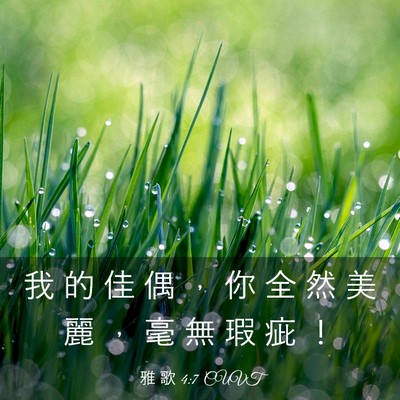 Picture 03 - 雅 歌 4:7 CUVT - 我 的 佳 偶 ， 你 全 然 美 麗 ， 毫 - Bible Verse Picture