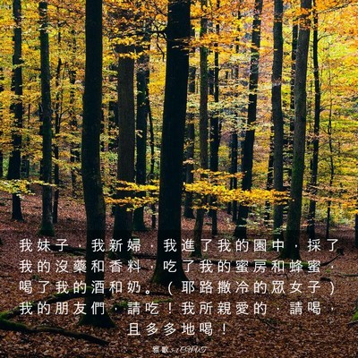 Picture 03 - 雅 歌 5:1 CUVT - 我 妹 子 ， 我 新 婦 ， 我 進 了 我 - Bible Verse Picture
