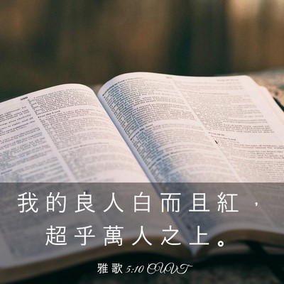 Picture 03 - 雅 歌 5:10 CUVT - 我 的 良 人 白 而 且 紅 ， 超 乎 萬 - Bible Verse Picture