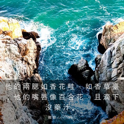 Picture 03 - 雅 歌 5:13 CUVT - 他 的 兩 腮 如 香 花 畦 ， 如 香 草 - Bible Verse Picture