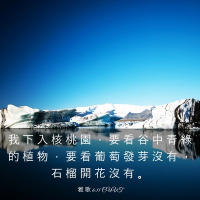 Picture 03 - 雅 歌 6:11 CUVT - 我 下 入 核 桃 園 ， 要 看 谷 中 青 - Bible Verse Picture