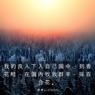 Picture 03 - 雅 歌 6:2 CUVT - 我 的 良 人 下 入 自 己 園 中 ， 到 - Bible Verse Picture