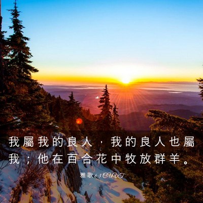 Picture 03 - 雅 歌 6:3 CUVT - 我 屬 我 的 良 人 ， 我 的 良 人 也 - Bible Verse Picture