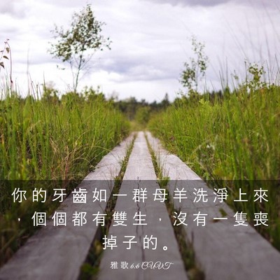 Picture 03 - 雅 歌 6:6 CUVT - 你 的 牙 齒 如 一 群 母 羊 洗 淨 上 - Bible Verse Picture