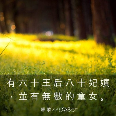 Picture 03 - 雅 歌 6:8 CUVT - 有 六 十 王 后 八 十 妃 嬪 ， 並 有 - Bible Verse Picture