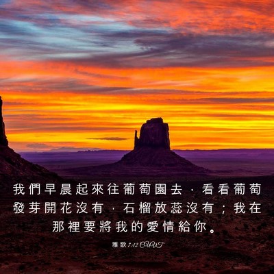 Picture 03 - 雅 歌 7:12 CUVT - 我 們 早 晨 起 來 往 葡 萄 園 去 ， - Bible Verse Picture