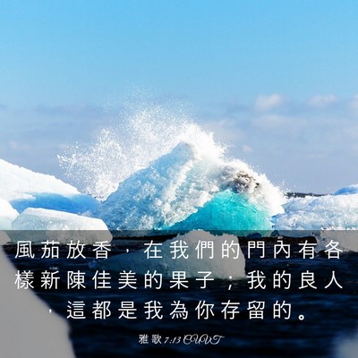 Picture 03 - 雅 歌 7:13 CUVT - 風 茄 放 香 ， 在 我 們 的 門 內 有 - Bible Verse Picture