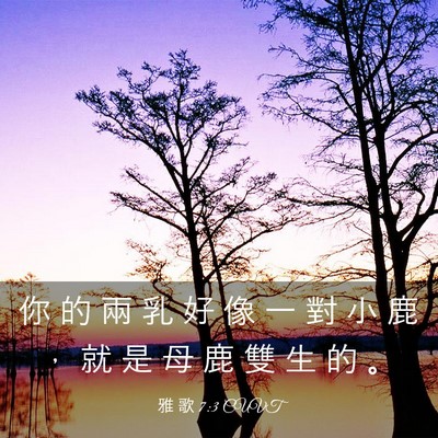 Picture 03 - 雅 歌 7:3 CUVT - 你 的 兩 乳 好 像 一 對 小 鹿 ， 就 - Bible Verse Picture