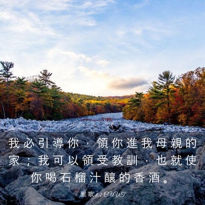 Picture 03 - 雅 歌 8:2 CUVT - 我 必 引 導 你 ， 領 你 進 我 母 親 - Bible Verse Picture