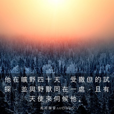 Picture 03 - 馬 可 福 音 1:13 CUVT - 他 在 曠 野 四 十 天 ， 受 撒 但 的 - Bible Verse Picture