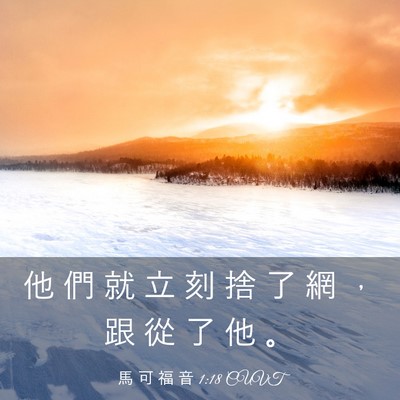 Picture 03 - 馬 可 福 音 1:18 CUVT - 他 們 就 立 刻 捨 了 網 ， 跟 從 了 - Bible Verse Picture