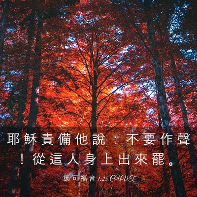 Picture 03 - 馬 可 福 音 1:25 CUVT - 耶 穌 責 備 他 說 ： 不 要 作 聲 ！ - Bible Verse Picture