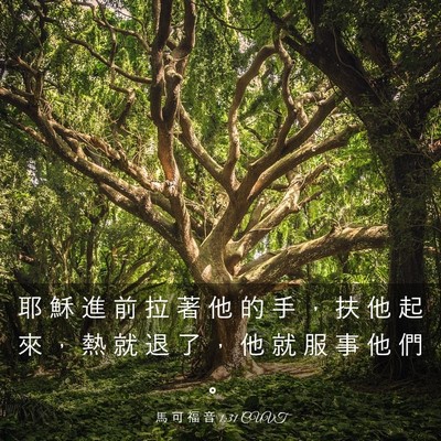 Picture 03 - 馬 可 福 音 1:31 CUVT - 耶 穌 進 前 拉 著 他 的 手 ， 扶 他 - Bible Verse Picture