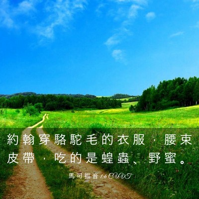 Picture 03 - 馬 可 福 音 1:6 CUVT - 約 翰 穿 駱 駝 毛 的 衣 服 ， 腰 束 - Bible Verse Picture