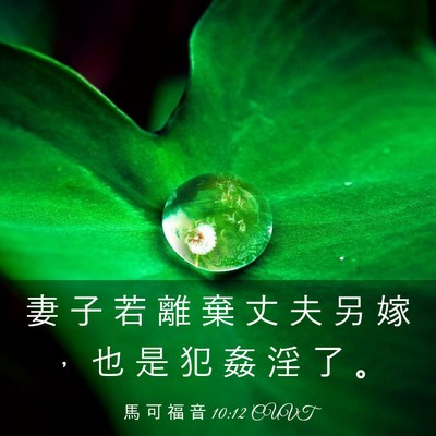 Picture 03 - 馬 可 福 音 10:12 CUVT - 妻 子 若 離 棄 丈 夫 另 嫁 ， 也 是 - Bible Verse Picture