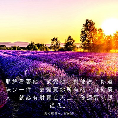 Picture 03 - 馬 可 福 音 10:21 CUVT - 耶 穌 看 著 他 ， 就 愛 他 ， 對 他 - Bible Verse Picture
