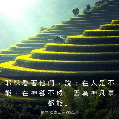 Picture 03 - 馬 可 福 音 10:27 CUVT - 耶 穌 看 著 他 們 ， 說 ： 在 人 是 - Bible Verse Picture