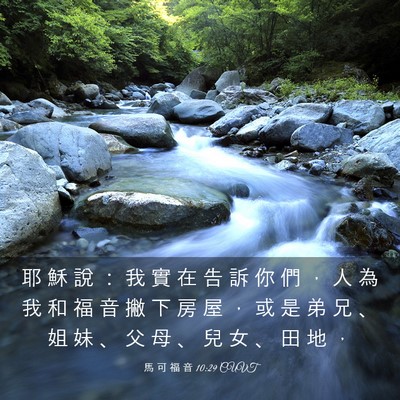 Picture 03 - 馬 可 福 音 10:29 CUVT - 耶 穌 說 ： 我 實 在 告 訴 你 們 ， - Bible Verse Picture