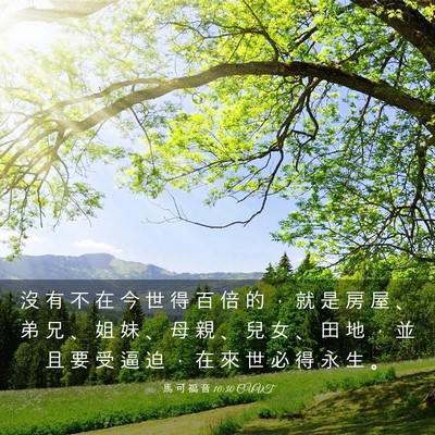 Picture 03 - 馬 可 福 音 10:30 CUVT - 沒 有 不 在 今 世 得 百 倍 的 ， 就 - Bible Verse Picture