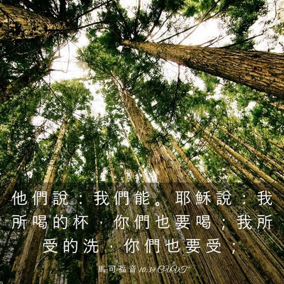 Picture 03 - 馬 可 福 音 10:39 CUVT - 他 們 說 ： 我 們 能 。 耶 穌 說 ： - Bible Verse Picture