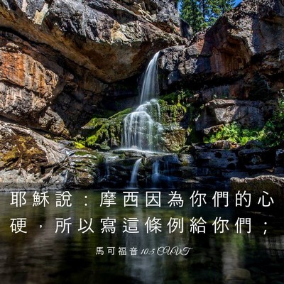 Picture 03 - 馬 可 福 音 10:5 CUVT - 耶 穌 說 ： 摩 西 因 為 你 們 的 心 - Bible Verse Picture