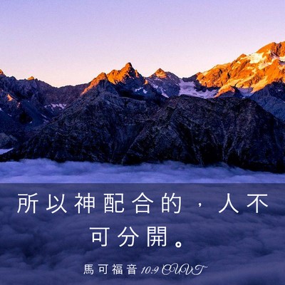 Picture 03 - 馬 可 福 音 10:9 CUVT - 所 以 神 配 合 的 ， 人 不 可 分 開 - Bible Verse Picture