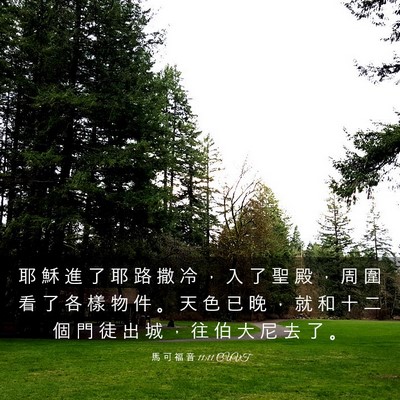Picture 03 - 馬 可 福 音 11:11 CUVT - 耶 穌 進 了 耶 路 撒 冷 ， 入 了 聖 - Bible Verse Picture