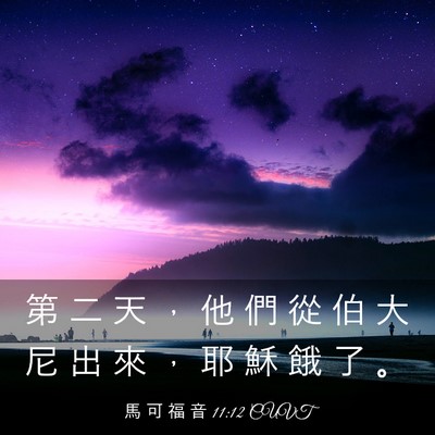 Picture 03 - 馬 可 福 音 11:12 CUVT - 第 二 天 ， 他 們 從 伯 大 尼 出 來 - Bible Verse Picture