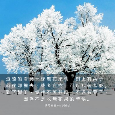 Picture 03 - 馬 可 福 音 11:13 CUVT - 遠 遠 的 看 見 一 棵 無 花 果 樹 ， - Bible Verse Picture