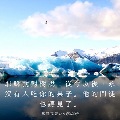 Picture 03 - 馬 可 福 音 11:14 CUVT - 耶 穌 就 對 樹 說 ： 從 今 以 後 ， - Bible Verse Picture