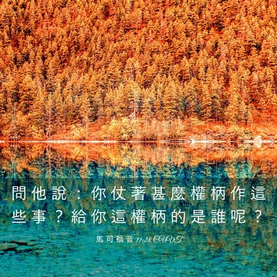 Picture 03 - 馬 可 福 音 11:28 CUVT - 問 他 說 ： 你 仗 著 甚 麼 權 柄 作 - Bible Verse Picture