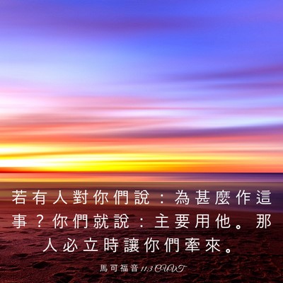 Picture 03 - 馬 可 福 音 11:3 CUVT - 若 有 人 對 你 們 說 ： 為 甚 麼 作 - Bible Verse Picture