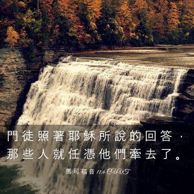 Picture 03 - 馬 可 福 音 11:6 CUVT - 門 徒 照 著 耶 穌 所 說 的 回 答 ， - Bible Verse Picture
