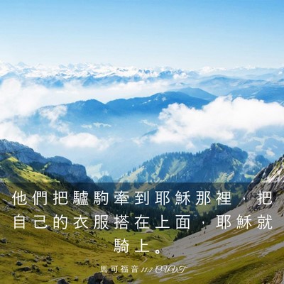 Picture 03 - 馬 可 福 音 11:7 CUVT - 他 們 把 驢 駒 牽 到 耶 穌 那 裡 ， - Bible Verse Picture