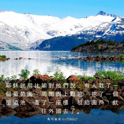Picture 03 - 馬 可 福 音 12:1 CUVT - 耶 穌 就 用 比 喻 對 他 們 說 ： 有 - Bible Verse Picture