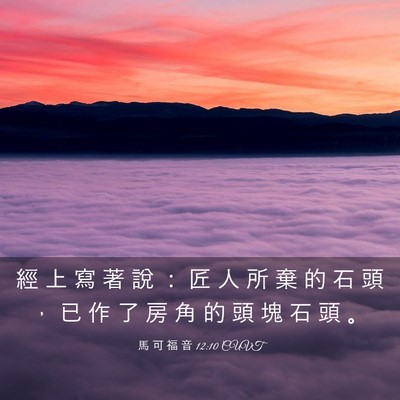 Picture 03 - 馬 可 福 音 12:10 CUVT - 經 上 寫 著 說 ： 匠 人 所 棄 的 石 - Bible Verse Picture