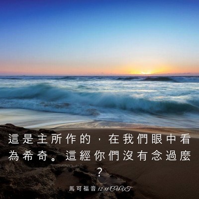 Picture 03 - 馬 可 福 音 12:11 CUVT - 這 是 主 所 作 的 ， 在 我 們 眼 中 - Bible Verse Picture
