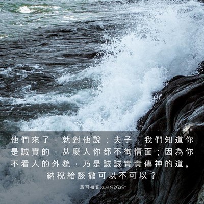 Picture 03 - 馬 可 福 音 12:14 CUVT - 他 們 來 了 ， 就 對 他 說 ： 夫 子 - Bible Verse Picture