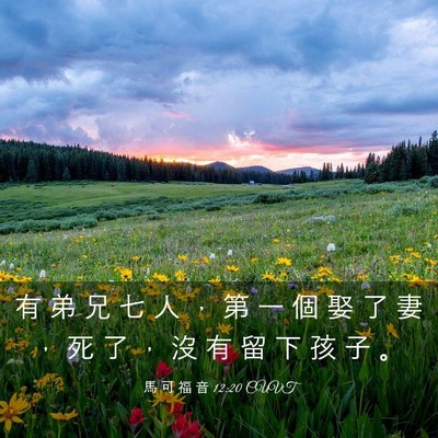 Picture 03 - 馬 可 福 音 12:20 CUVT - 有 弟 兄 七 人 ， 第 一 個 娶 了 妻 - Bible Verse Picture