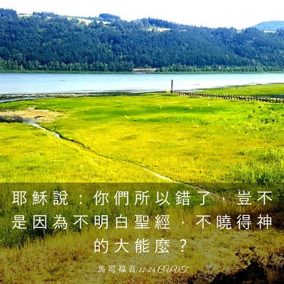 Picture 03 - 馬 可 福 音 12:24 CUVT - 耶 穌 說 ： 你 們 所 以 錯 了 ， 豈 - Bible Verse Picture