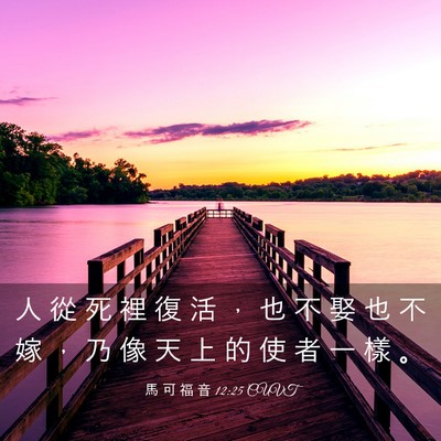 Picture 03 - 馬 可 福 音 12:25 CUVT - 人 從 死 裡 復 活 ， 也 不 娶 也 不 - Bible Verse Picture
