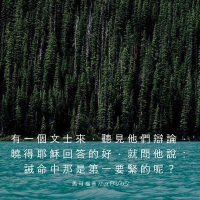 Picture 03 - 馬 可 福 音 12:28 CUVT - 有 一 個 文 士 來 ， 聽 見 他 們 辯 - Bible Verse Picture