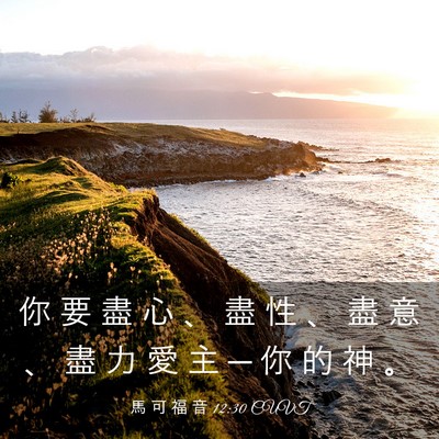 Picture 03 - 馬 可 福 音 12:30 CUVT - 你 要 盡 心 、 盡 性 、 盡 意 、 盡 - Bible Verse Picture