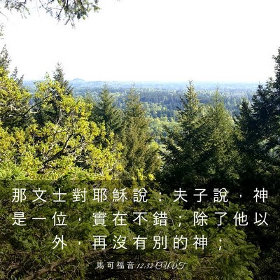 Picture 03 - 馬 可 福 音 12:32 CUVT - 那 文 士 對 耶 穌 說 ： 夫 子 說 ， - Bible Verse Picture