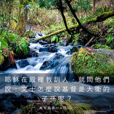 Picture 03 - 馬 可 福 音 12:35 CUVT - 耶 穌 在 殿 裡 教 訓 人 ， 就 問 他 - Bible Verse Picture