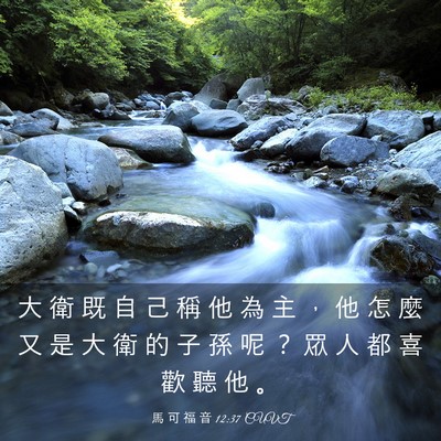 Picture 03 - 馬 可 福 音 12:37 CUVT - 大 衛 既 自 己 稱 他 為 主 ， 他 怎 - Bible Verse Picture