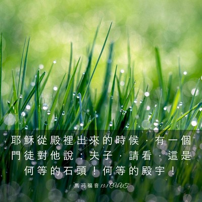 Picture 03 - 馬 可 福 音 13:1 CUVT - 耶 穌 從 殿 裡 出 來 的 時 候 ， 有 - Bible Verse Picture