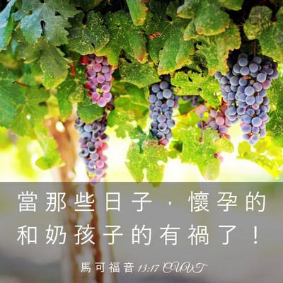Picture 03 - 馬 可 福 音 13:17 CUVT - 當 那 些 日 子 ， 懷 孕 的 和 奶 孩 - Bible Verse Picture